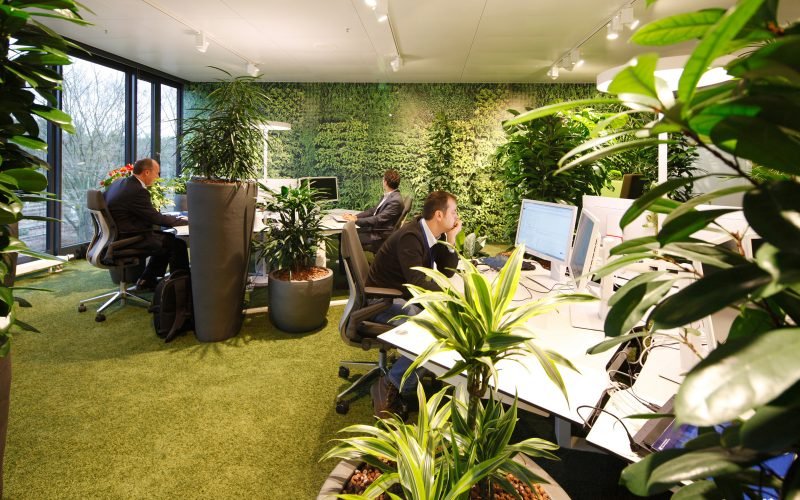 48_First-Second-Floor_Homebase_Work-Area_Garden-Typology 48_First-Second-Floor_Homebase_Work-Area_Garden-Typology