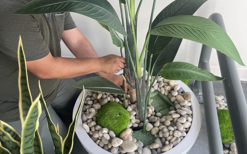 IMG_5585-min IMG_5585-min