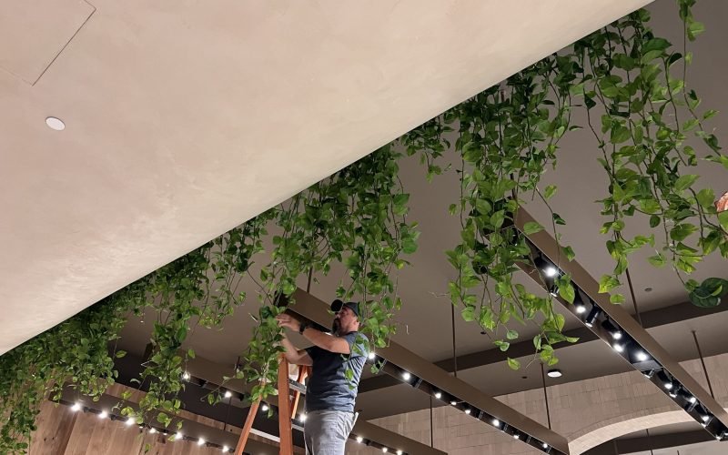 IMG_5878 (1) (2)-min IMG_5878 (1) (2)-min